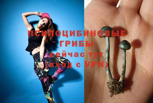кокс Кулебаки