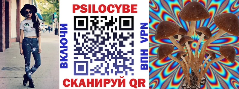 Псилоцибиновые грибы Cubensis  Северск 
